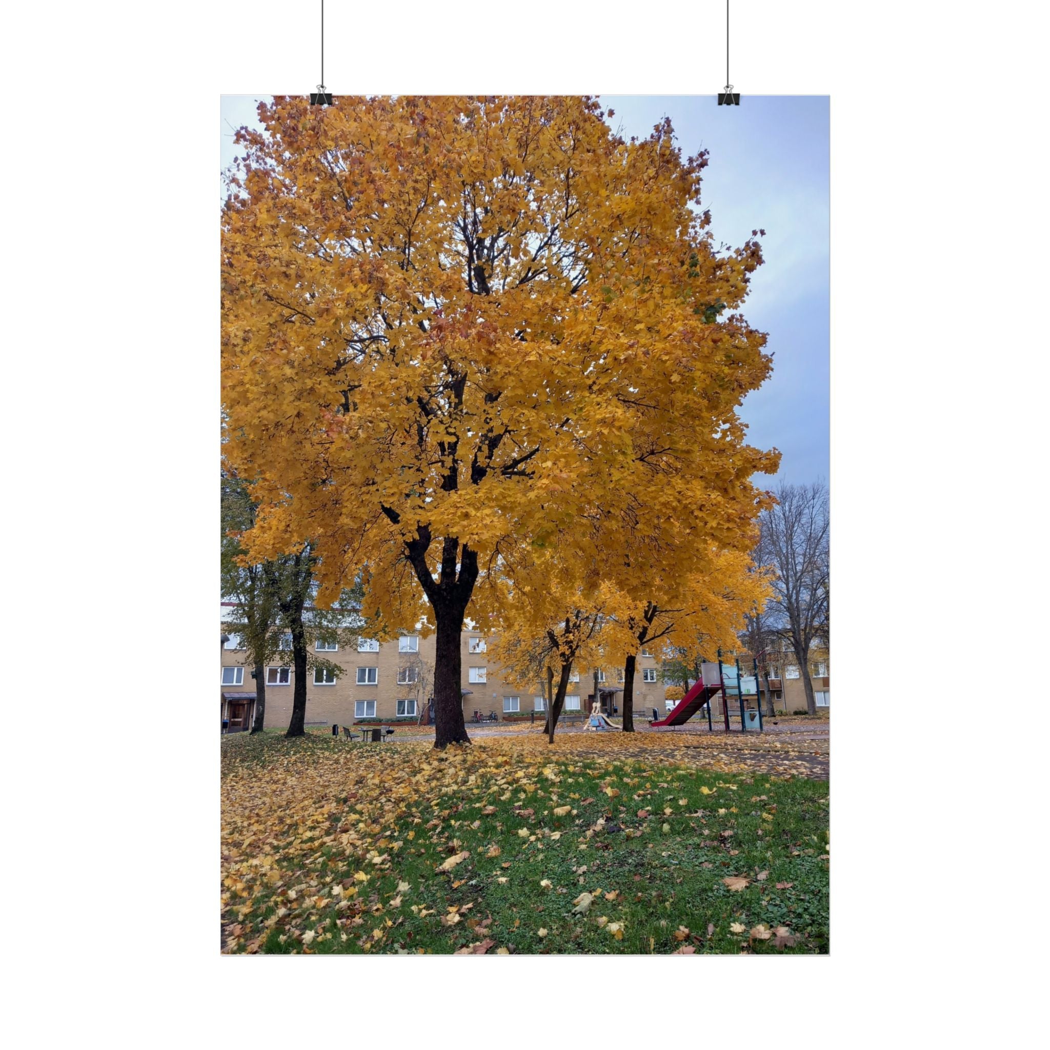 Autumn Maple Poster – Golden Fall Tree Wall Art