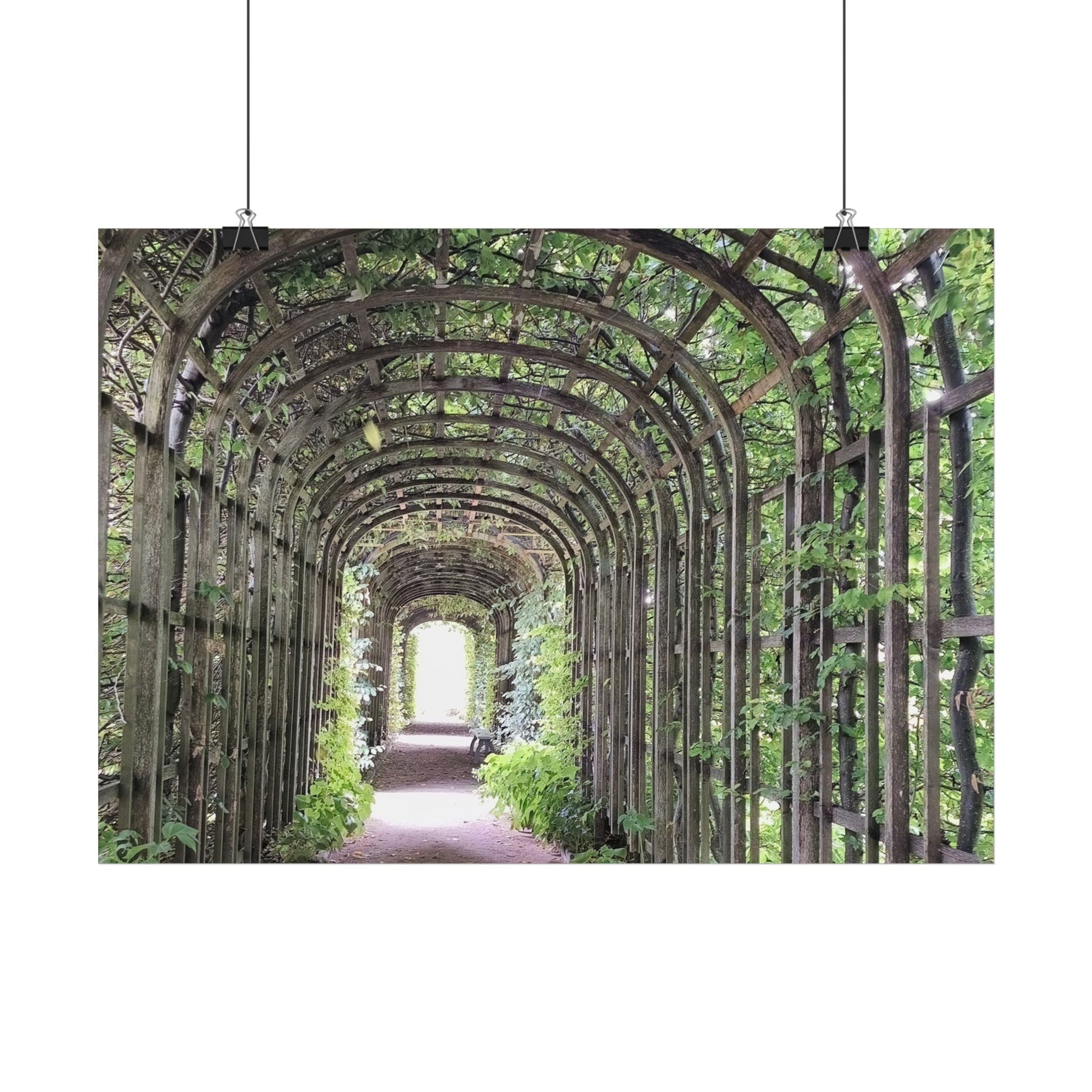 Garden Arbor Archway Poster — Green Pergola Pathway Wall Art