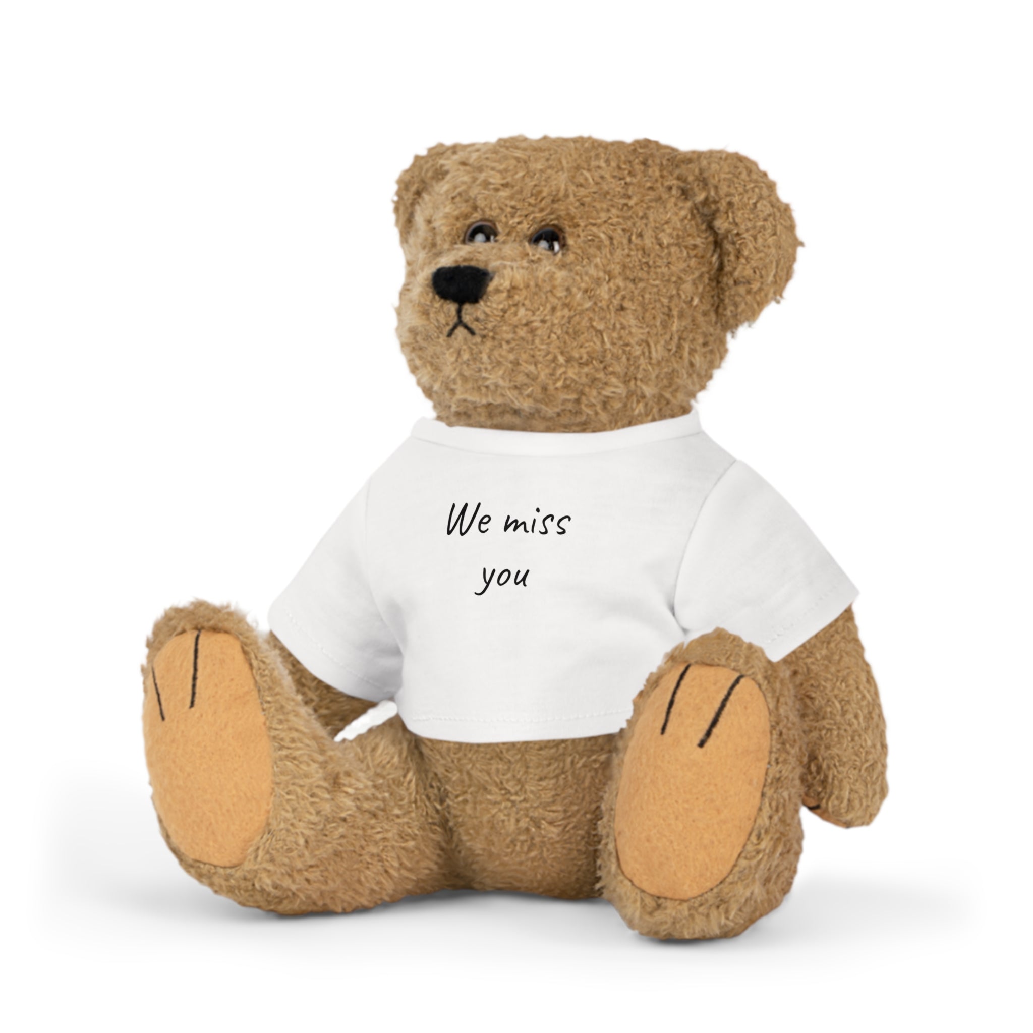 We Miss You Teddy Plush