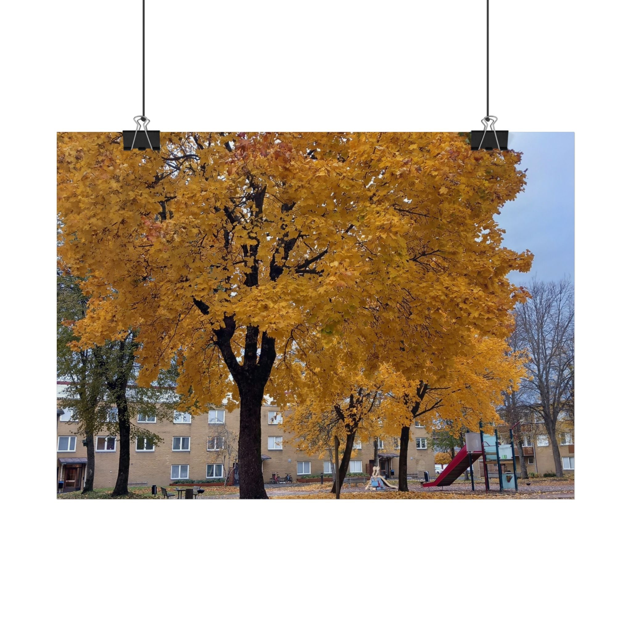 Autumn Maple Poster – Golden Fall Tree Wall Art
