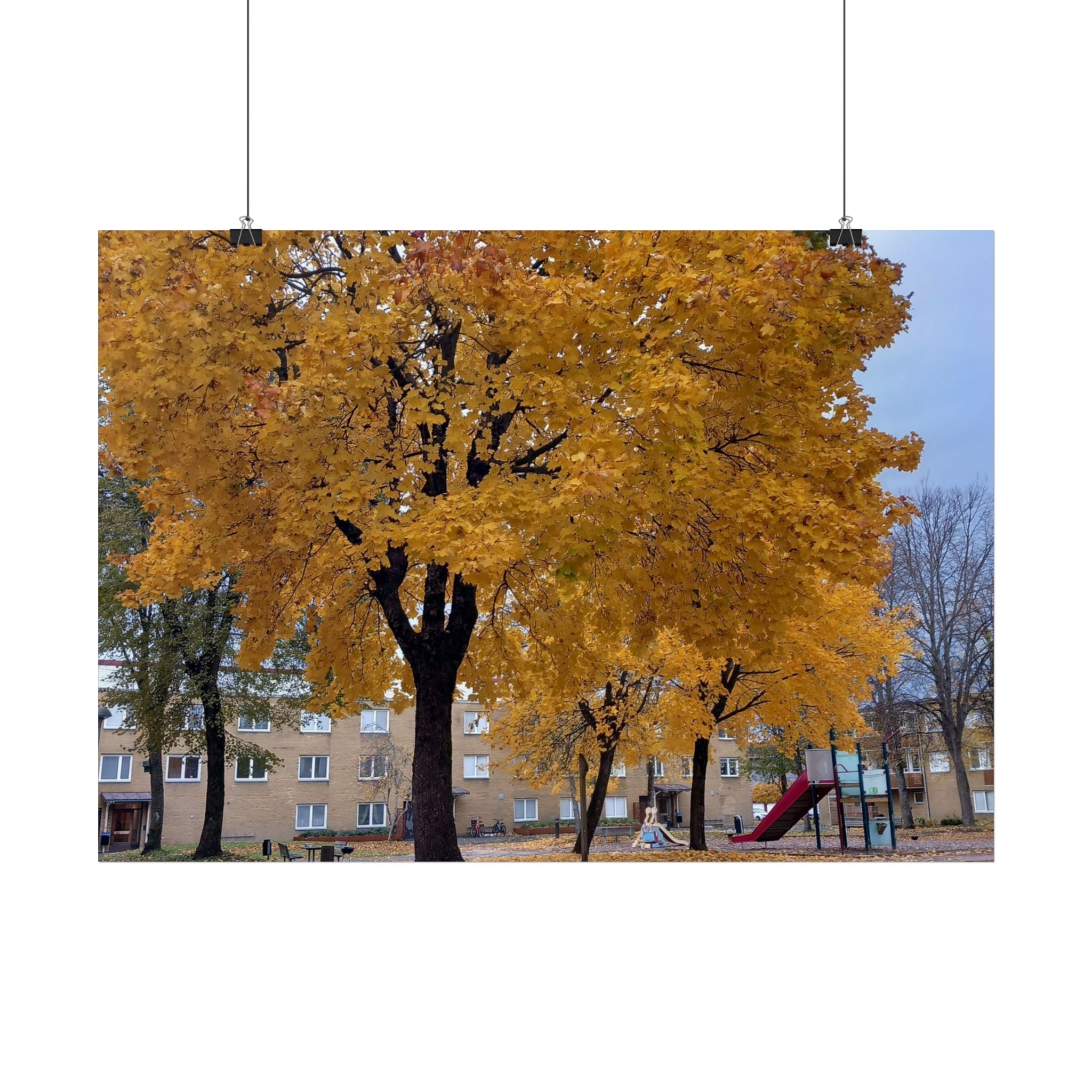 Autumn Maple Poster – Golden Fall Tree Wall Art
