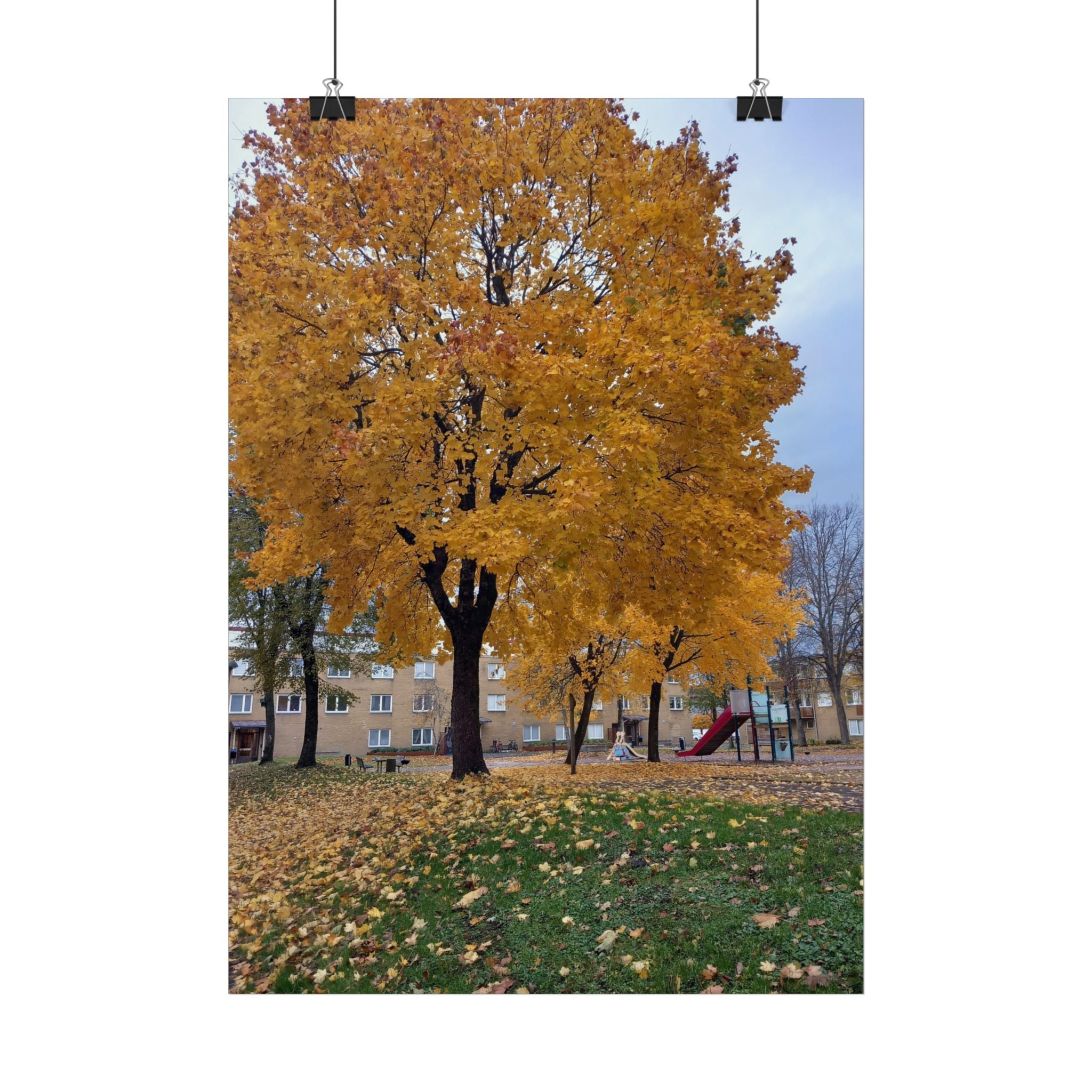 Autumn Maple Poster – Golden Fall Tree Wall Art