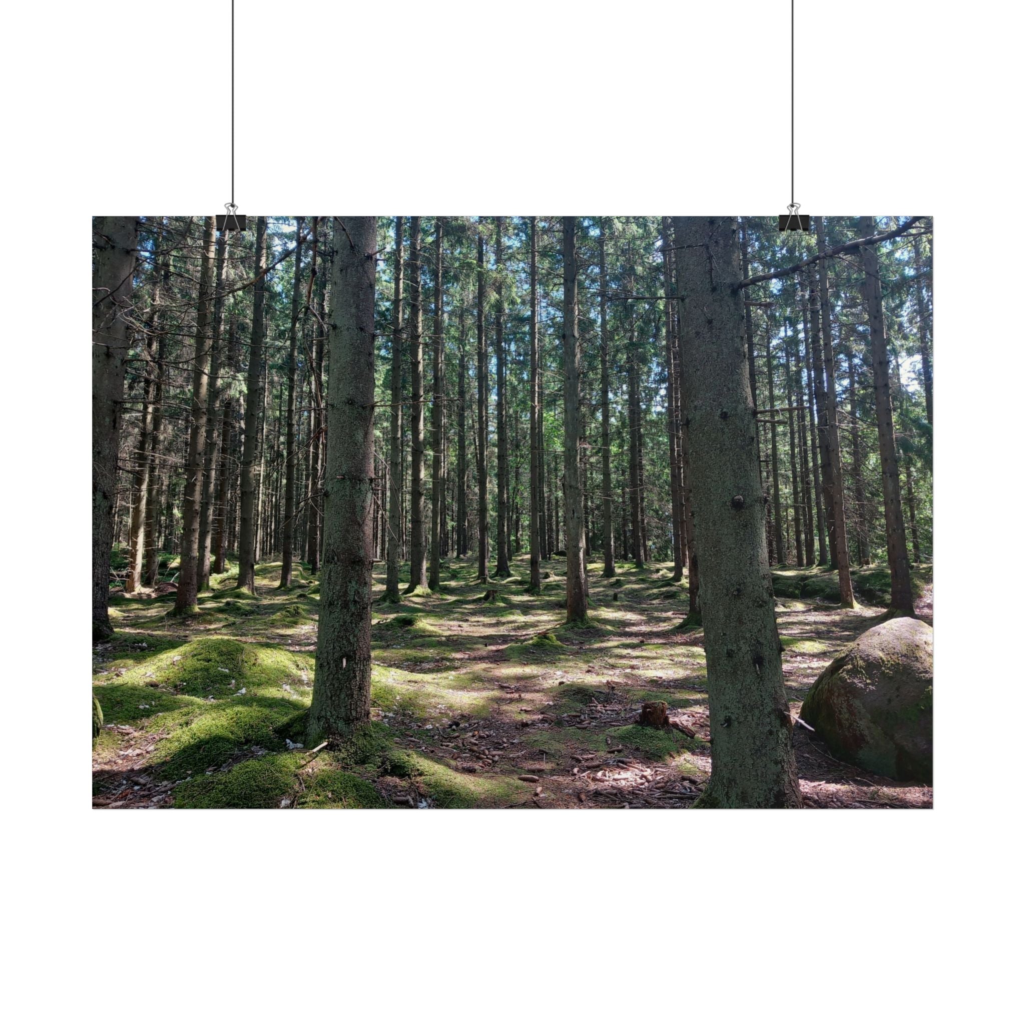 Forest Path Poster - Mossy Pine Woodland Wall Art