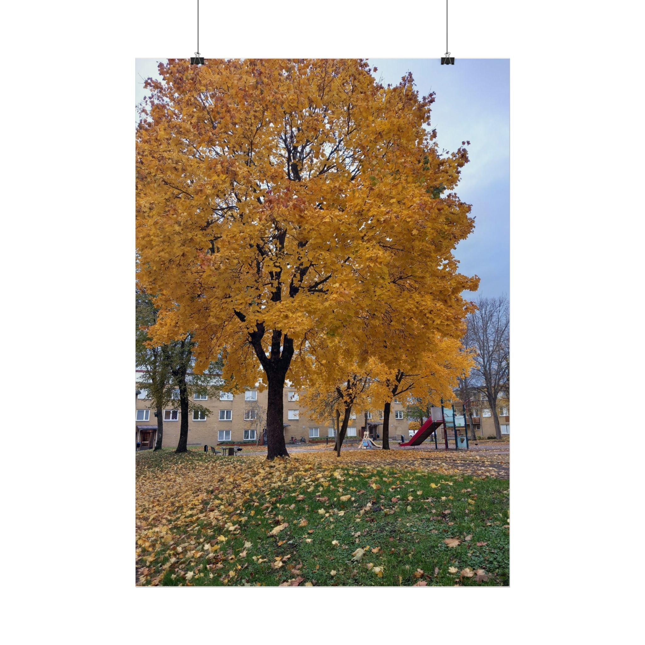 Autumn Maple Poster – Golden Fall Tree Wall Art