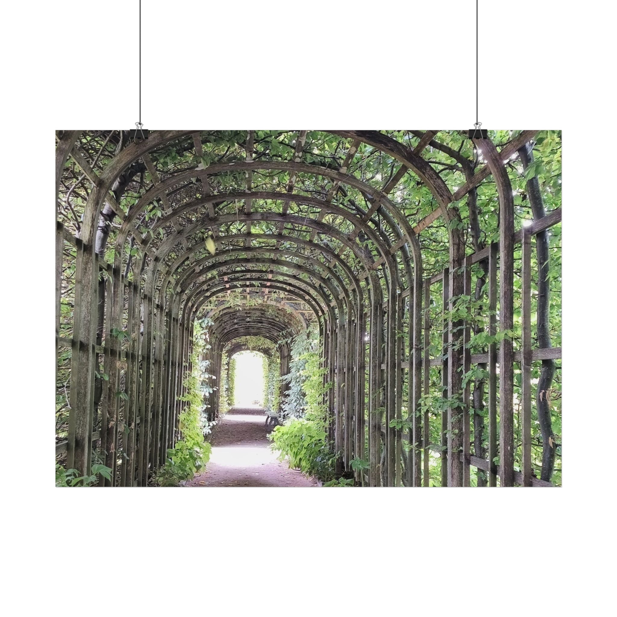 Garden Arbor Archway Poster — Green Pergola Pathway Wall Art