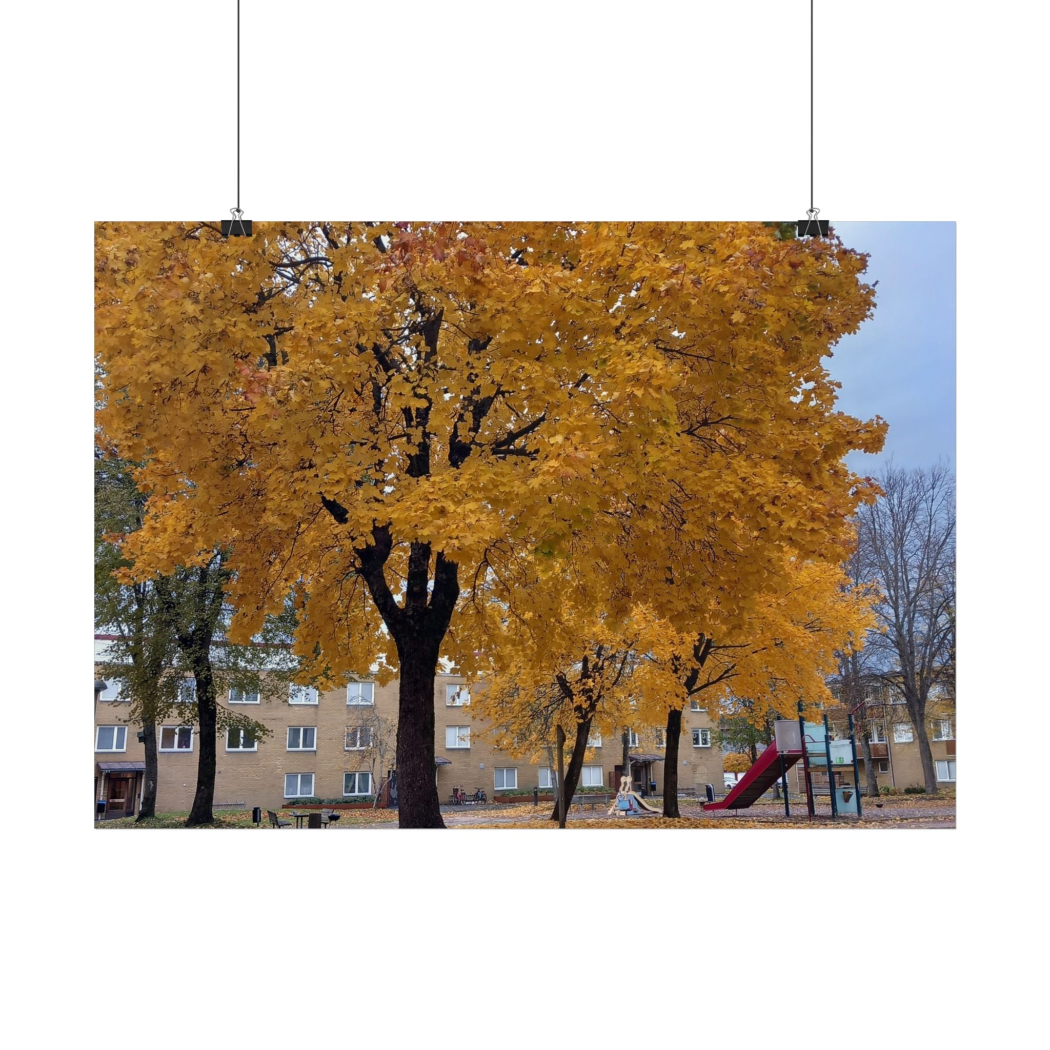 Autumn Maple Poster – Golden Fall Tree Wall Art