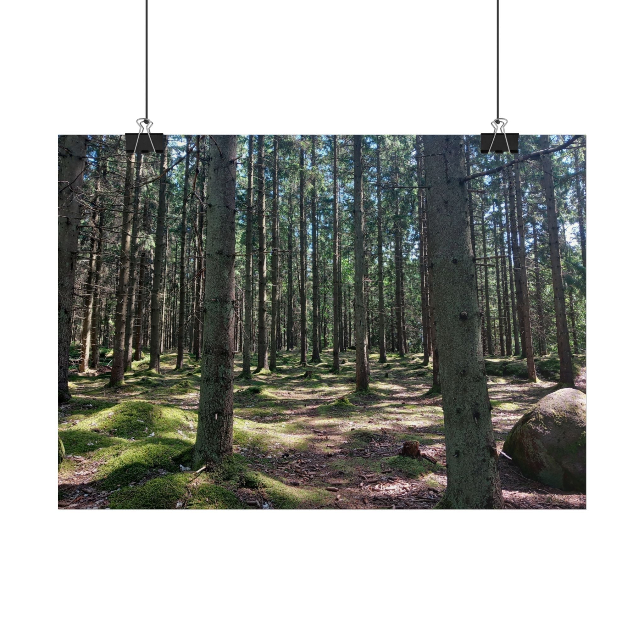 Forest Path Poster - Mossy Pine Woodland Wall Art