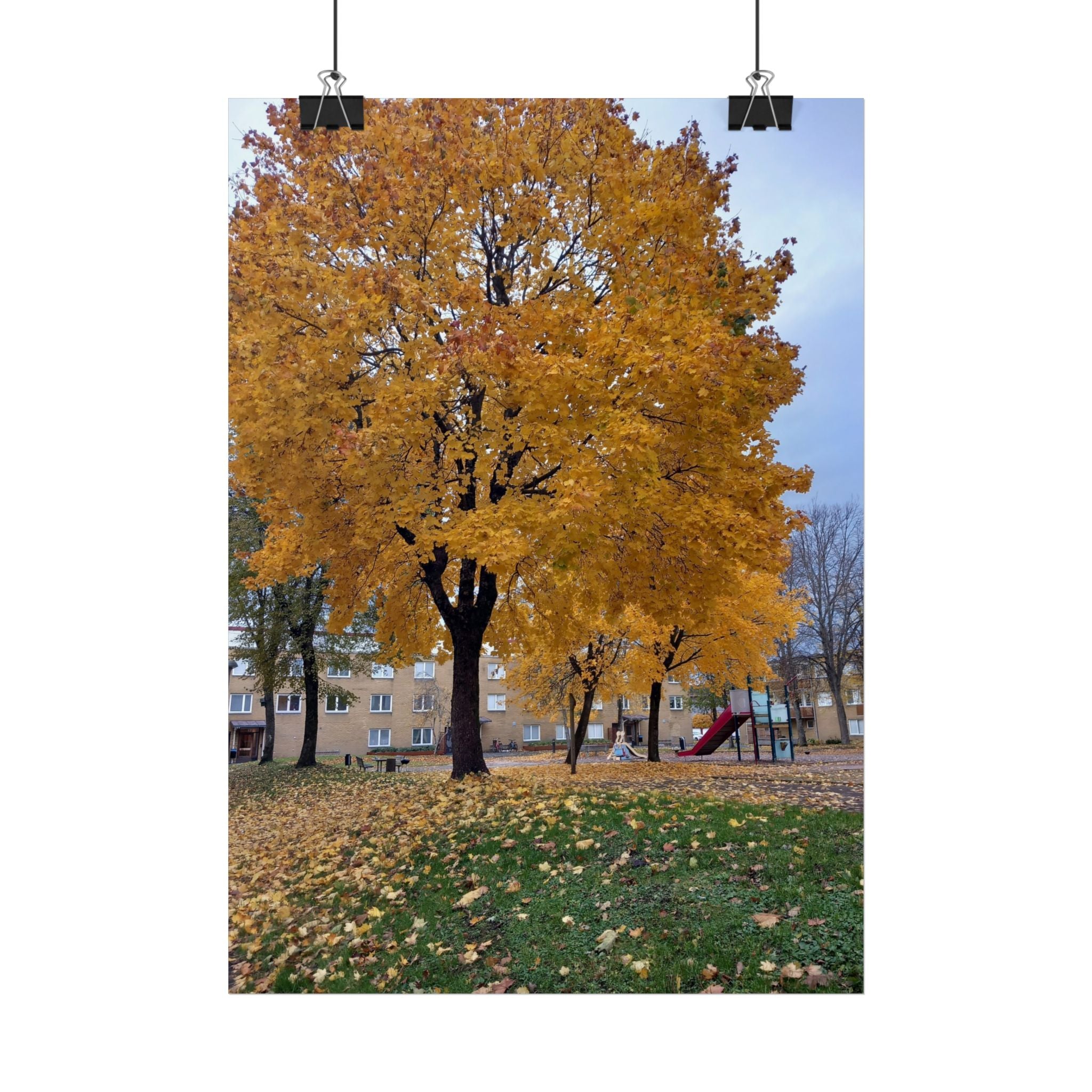 Autumn Maple Poster – Golden Fall Tree Wall Art