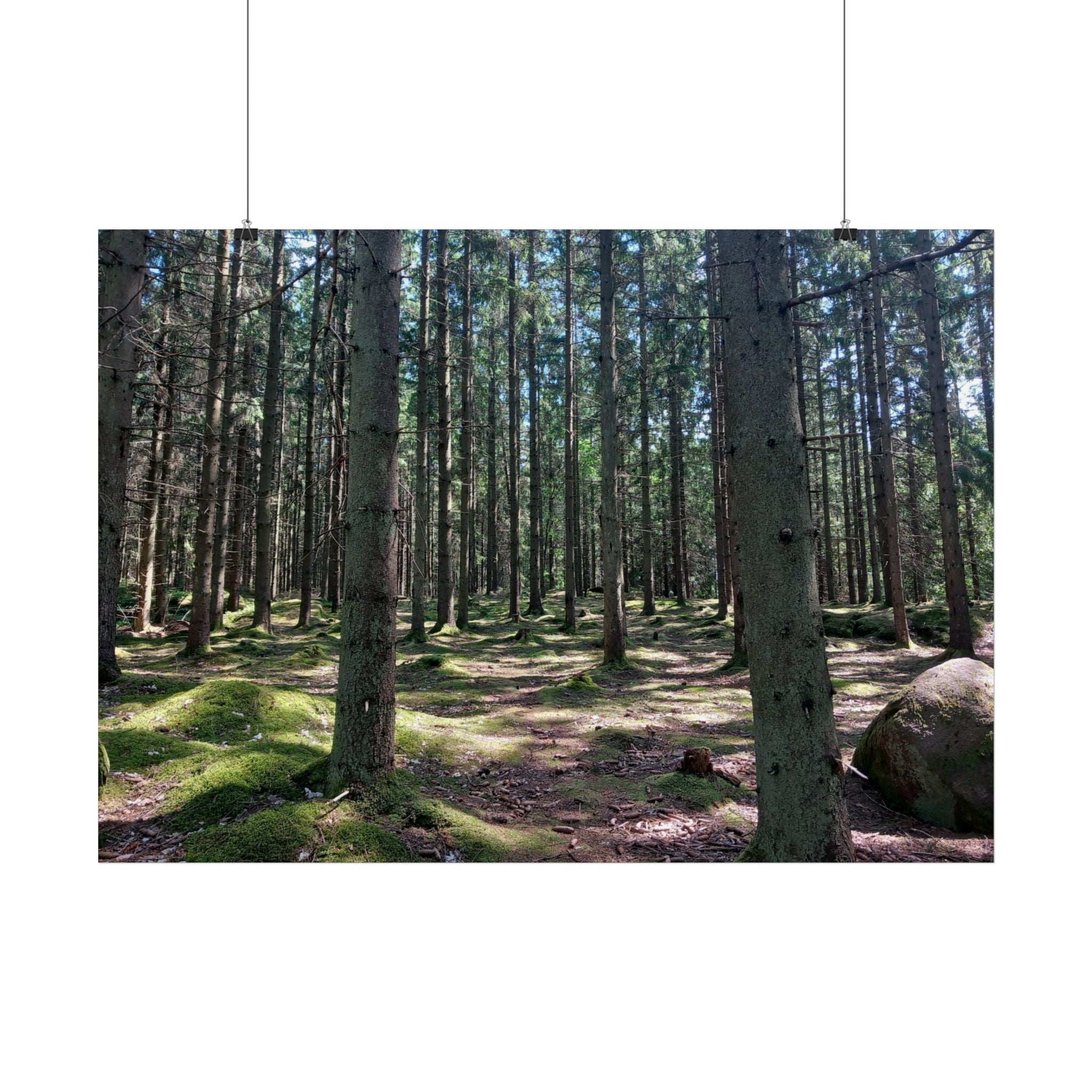 Forest Path Poster - Mossy Pine Woodland Wall Art