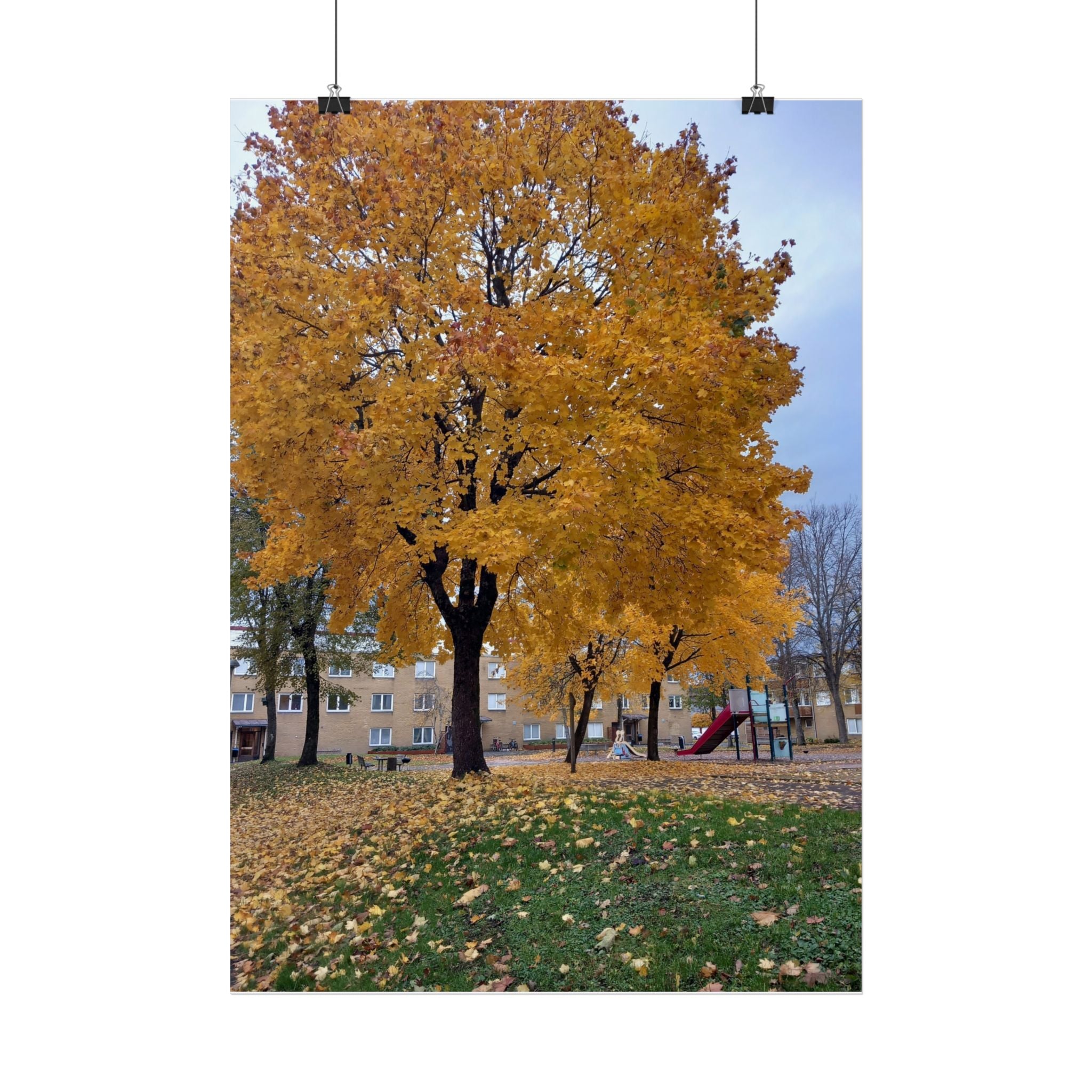 Autumn Maple Poster – Golden Fall Tree Wall Art