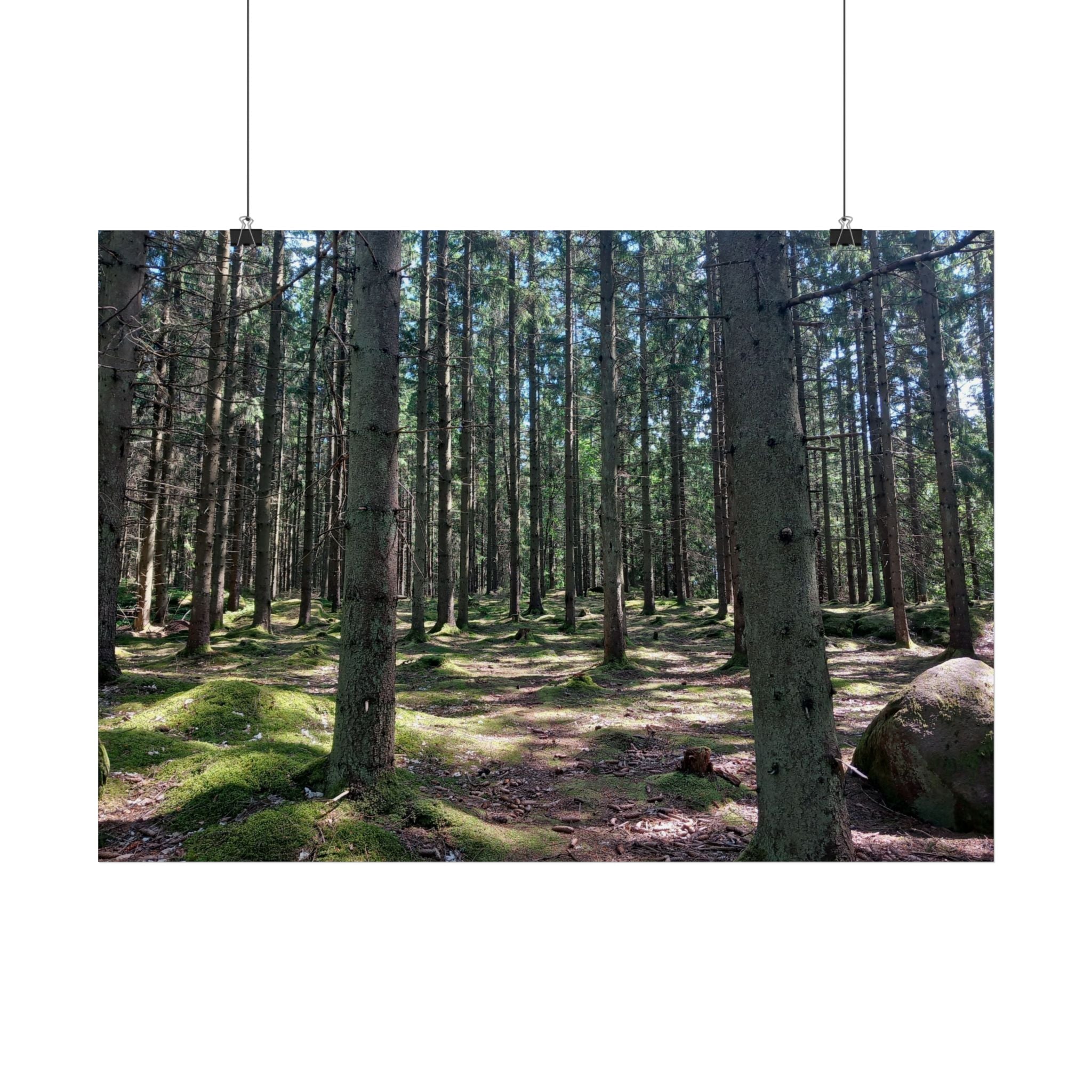 Forest Path Poster - Mossy Pine Woodland Wall Art